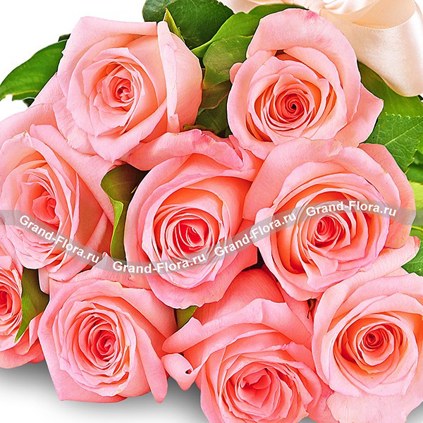 Высокие розовые розы (70 см)